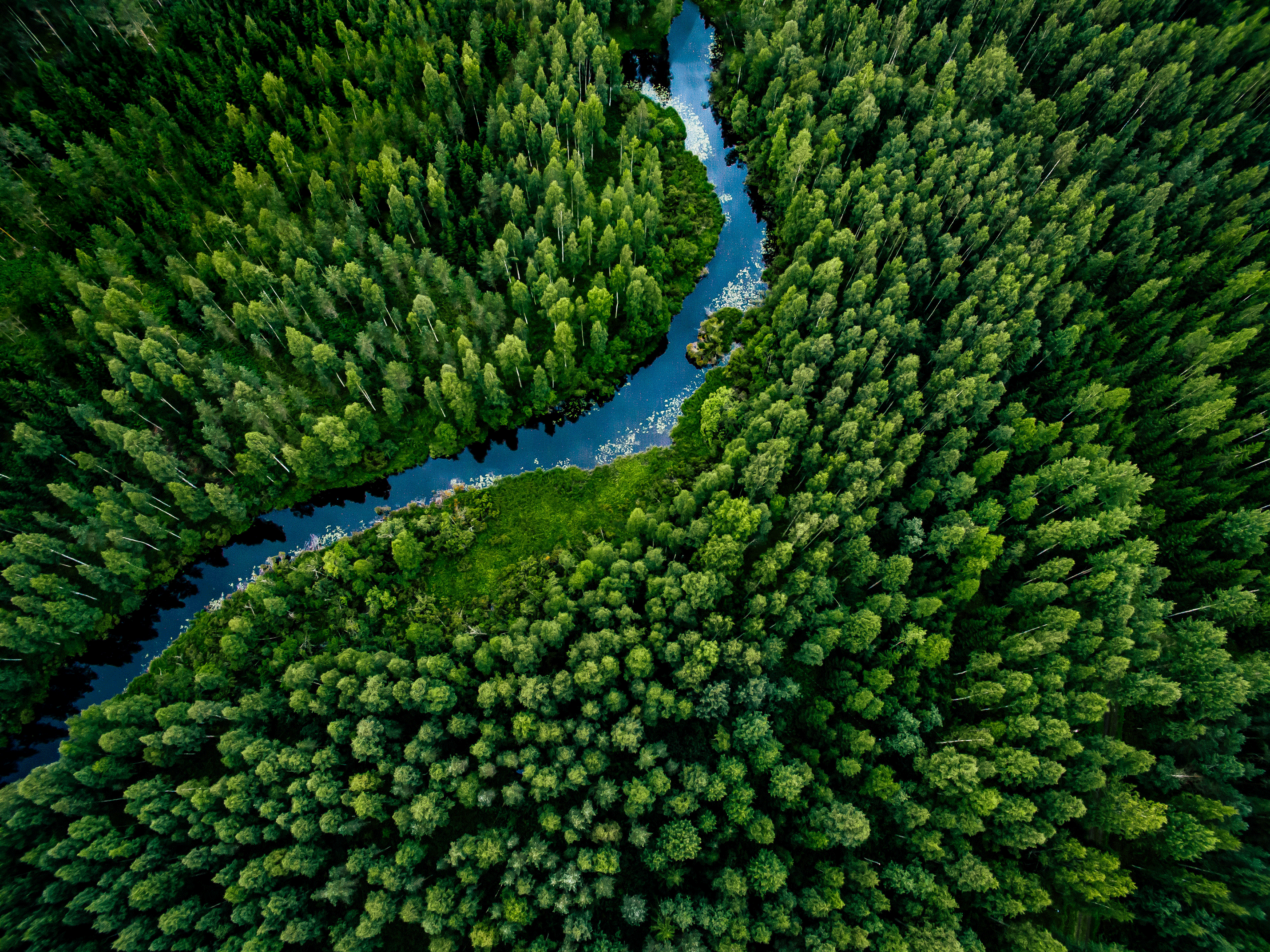 AdobeStock_381433950_web.gif